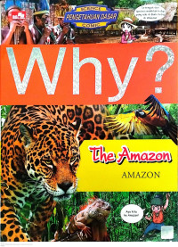 Image of The Amazon